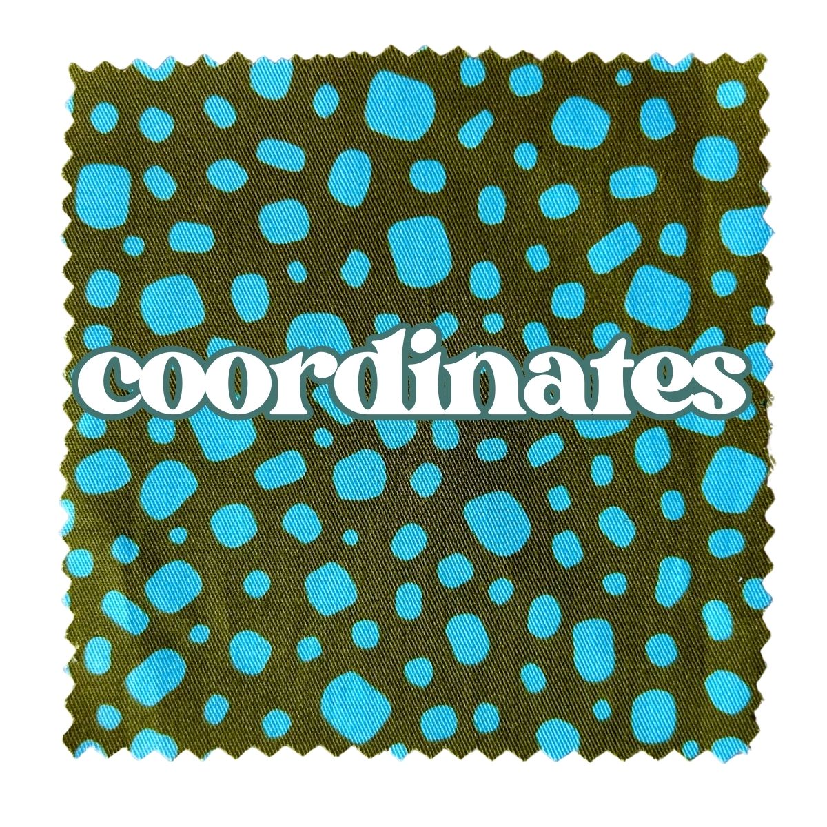 Light blue and green pebble shapes with 'coordinates' text