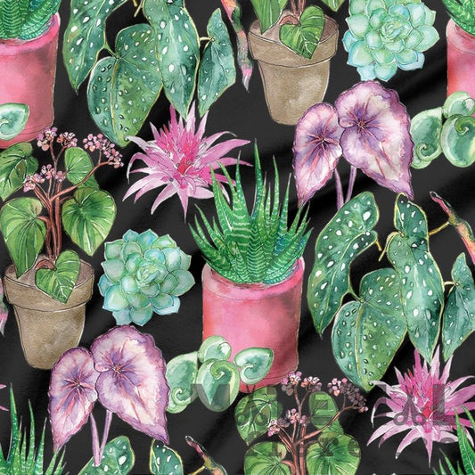 Colorful illustration of various succulent plants on a black background